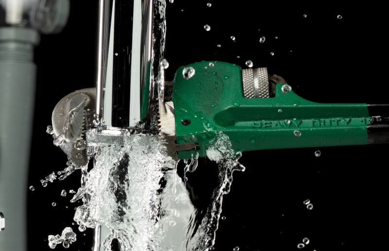 Plumbing Leak Detection